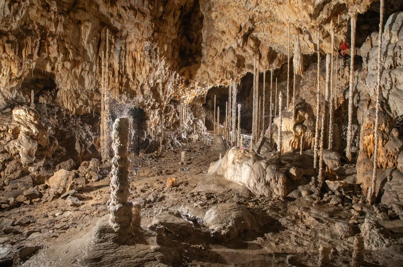Speciální archeologické prohlídky – netradiční prohlídky Kateřinské jeskyně 2026